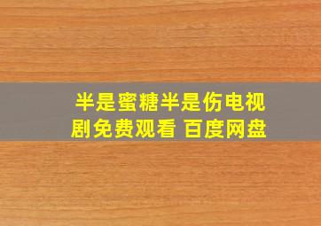 半是蜜糖半是伤电视剧免费观看 百度网盘